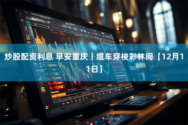 炒股配资利息 早安重庆｜缆车穿梭彩林间【12月11日】